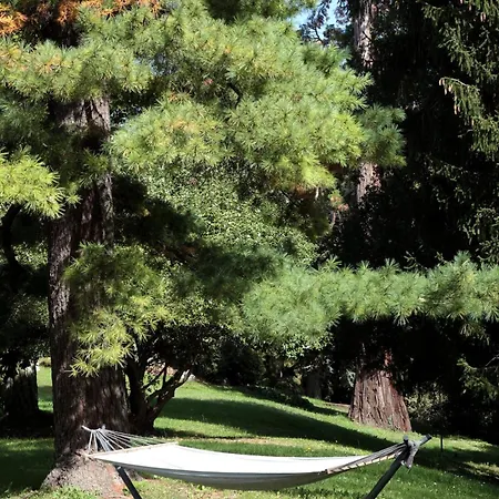 Lucini 1886 Garden Near And Milan Rovagnate